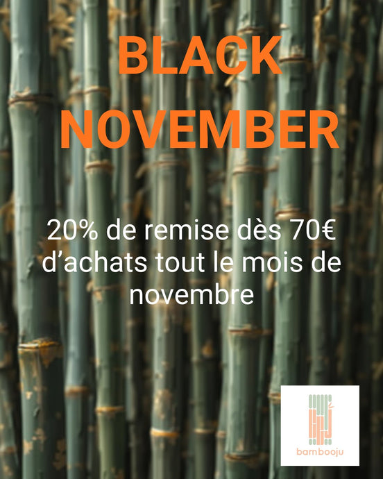 Green friday vs black friday : stratégies de consommation responsable