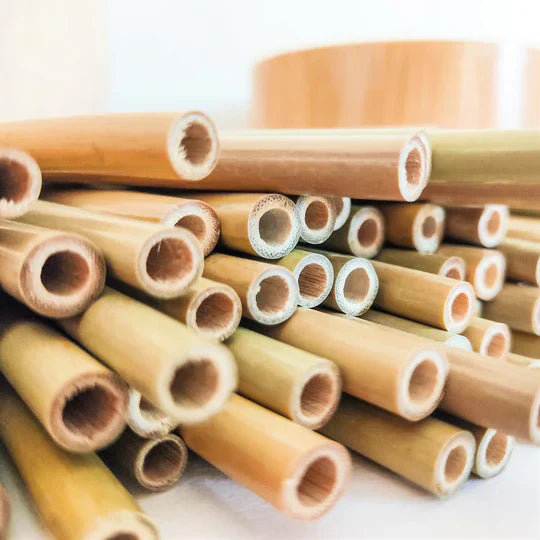 Le bambou, matériau d'avenir : décryptage des propriétés exceptionnelles du "green steel"