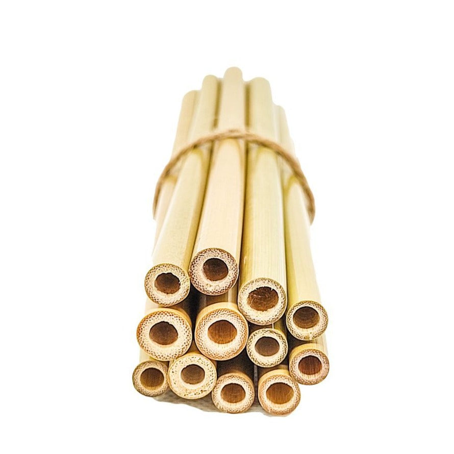Lot de 6 petites pailles en bambou naturel posées à côté d’une tasse de thé sur une table épurée.

